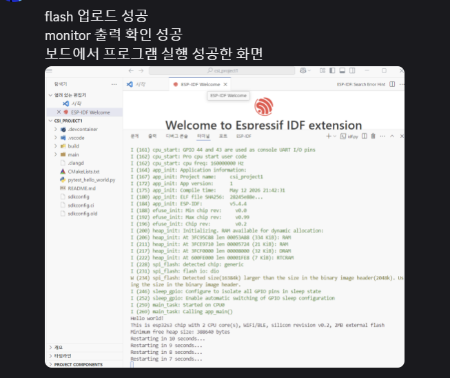 ESP-IDF Flash 업로드 및 Monitor 출력 성공 화면