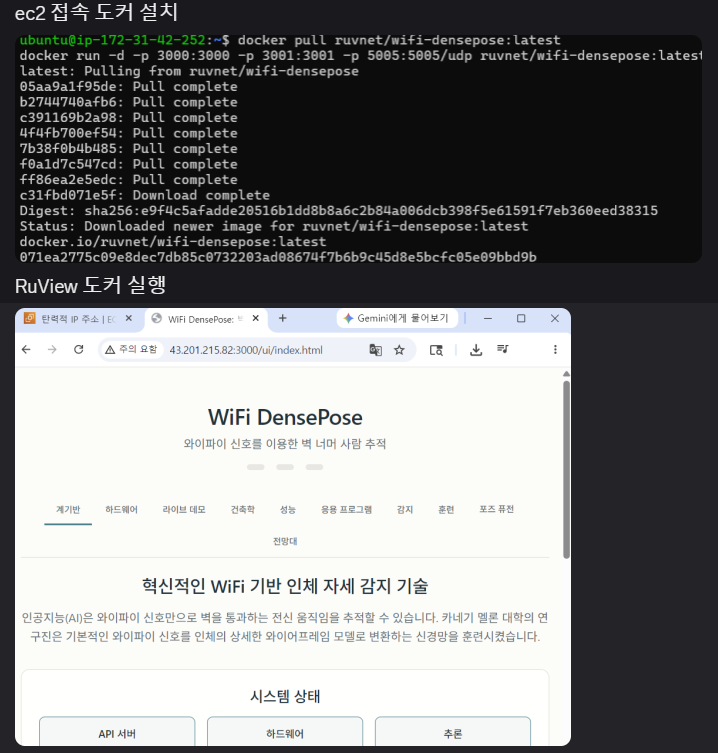 RuView Docker 실행 및 UI 접속 확인